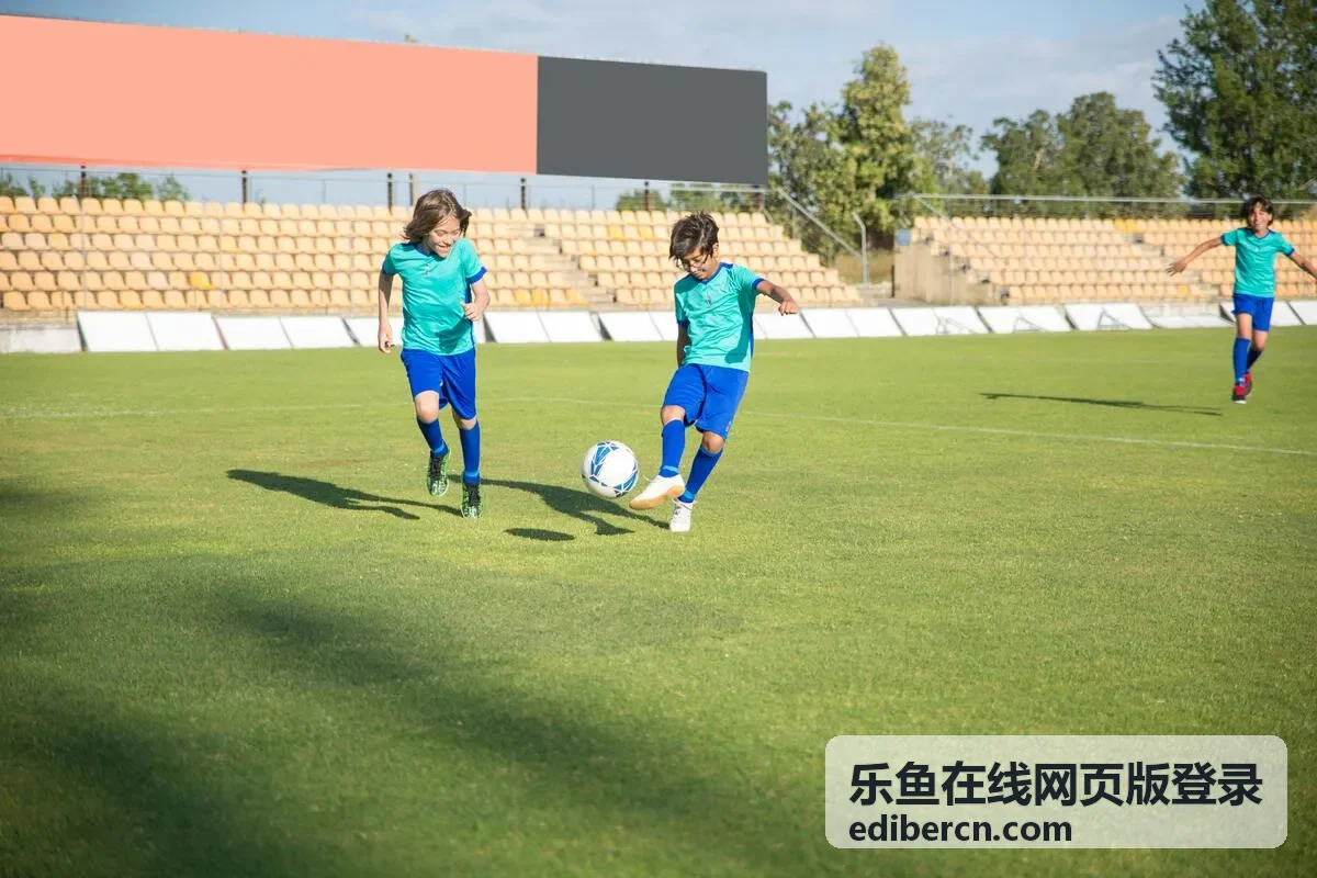 乐鱼在线网页版登录前设备与网络环境准备